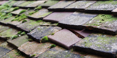 Totteridge roof repair costs